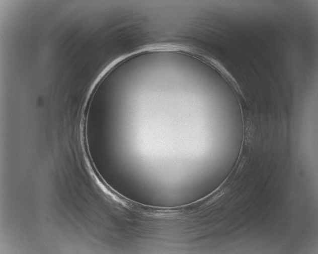 X0000079301484200611170816
