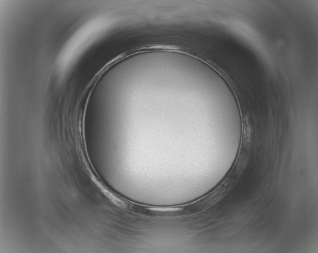 X0000079301487200611170816
