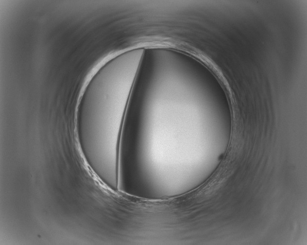 X0000079301488200611170816