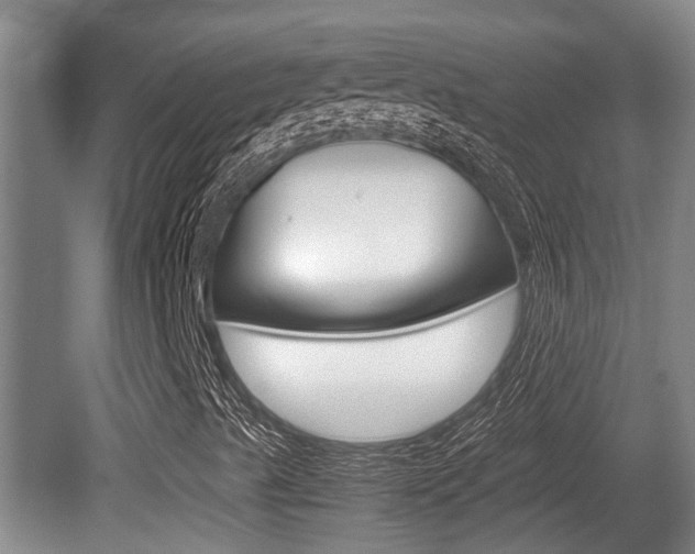 X0000079301489200611170815