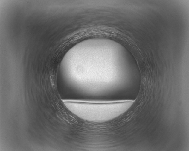 X0000079301490200611170815