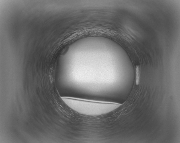 X0000079301491200611170815