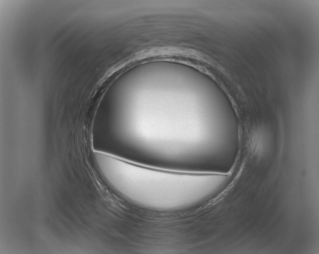 X0000079301497200611170815