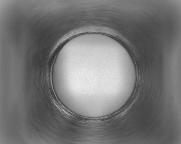 X0000079301498200611170815