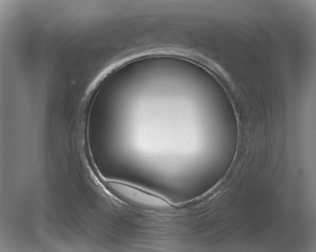 X0000079301504200611170815