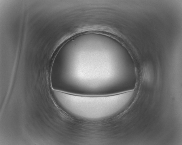 X0000079301505200611170815
