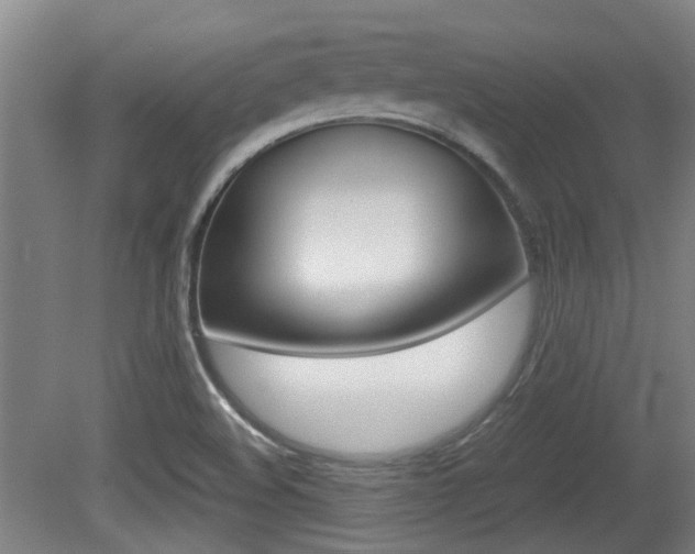 X0000079301508200611170815