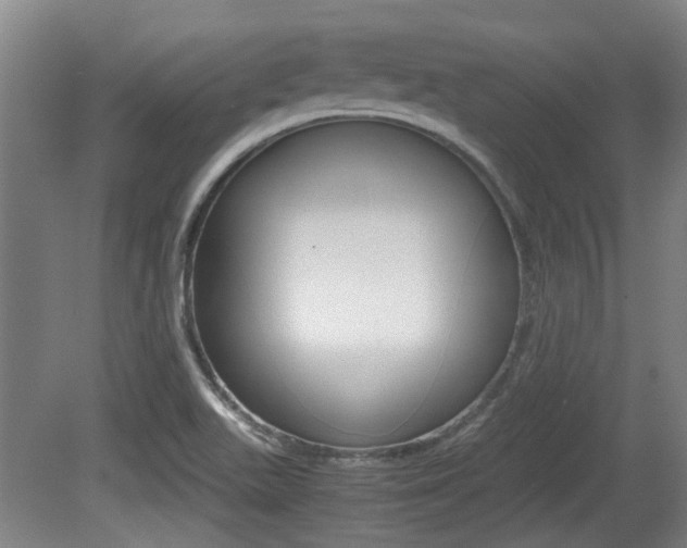X0000079301511200611170815