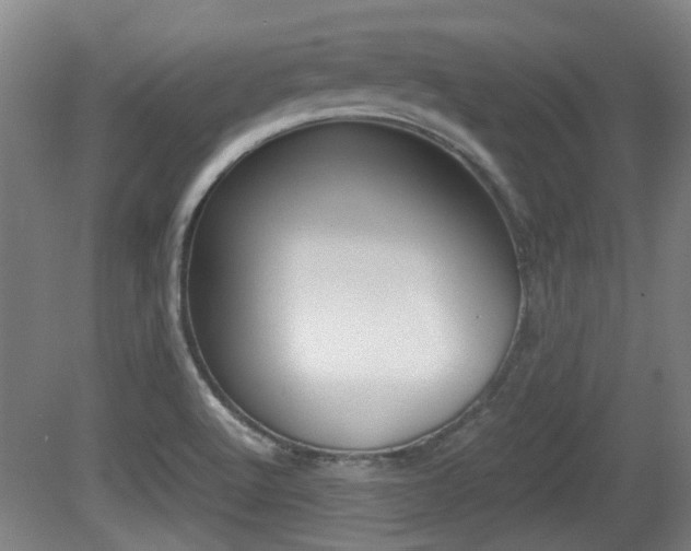 X0000079301512200611170815