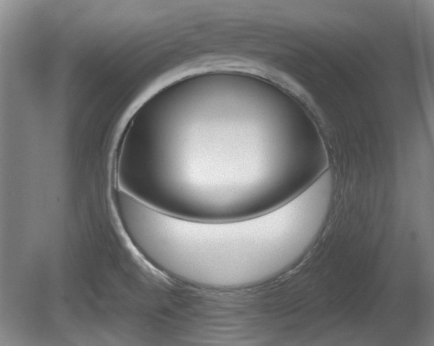 X0000079301520200611170816