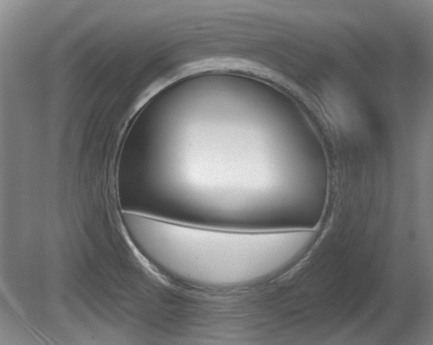X0000079301521200611170816