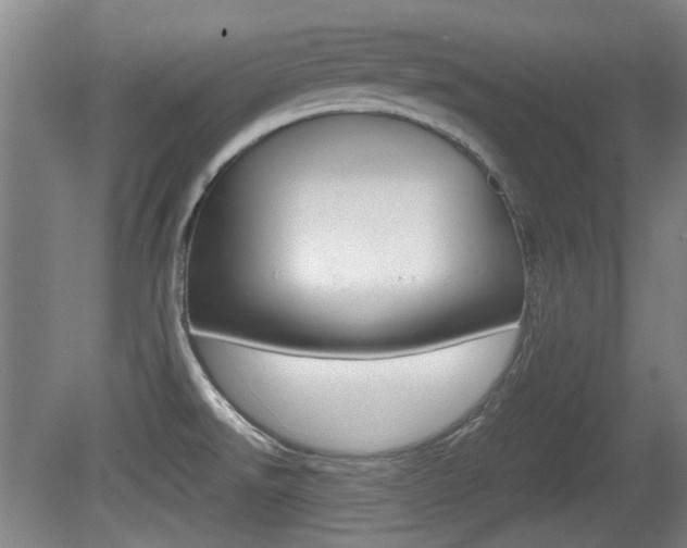 X0000079301526200611170816