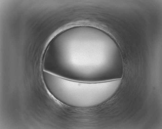 X0000079301527200611170816
