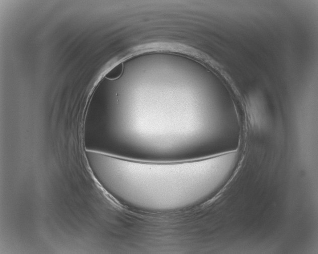 X0000079301529200611170816