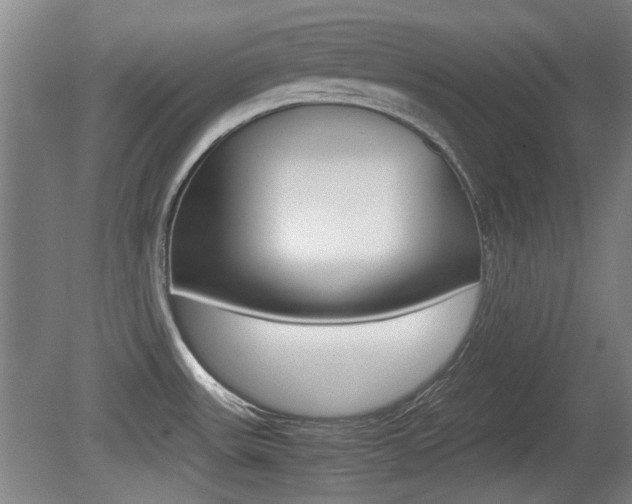 X0000079301531200611170816