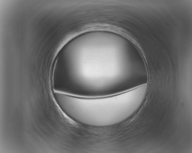 X0000079301533200611170816