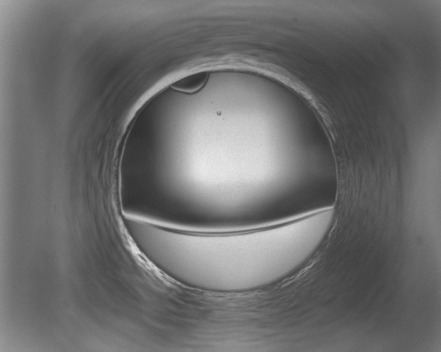 X0000079301534200611170816