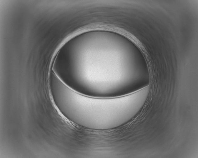 X0000079301536200611170816