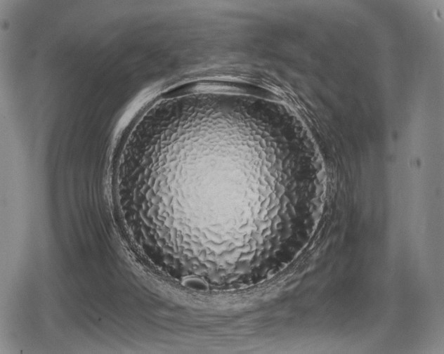 X0000079300006200611171042
