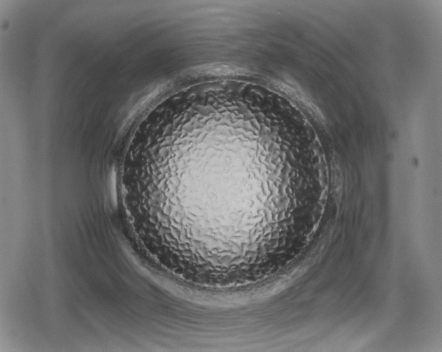 X0000079300014200611171042