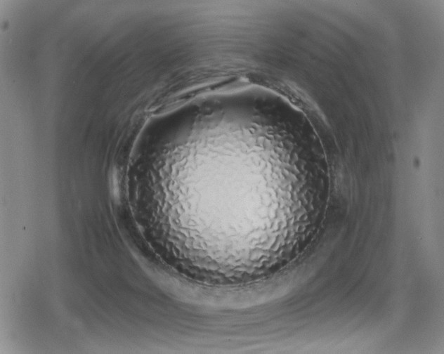 X0000079300026200611171042