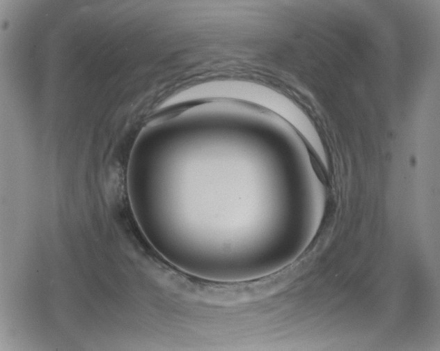 X0000079300029200611171042