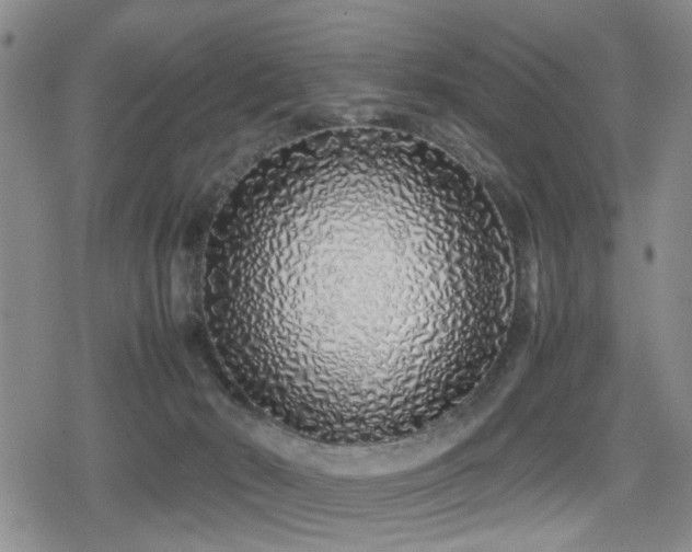 X0000079300030200611171042