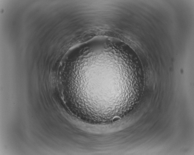 X0000079300034200611171042