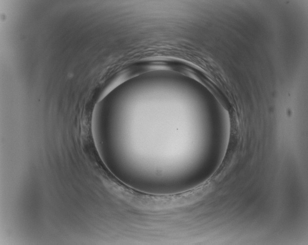 X0000079300037200611171042