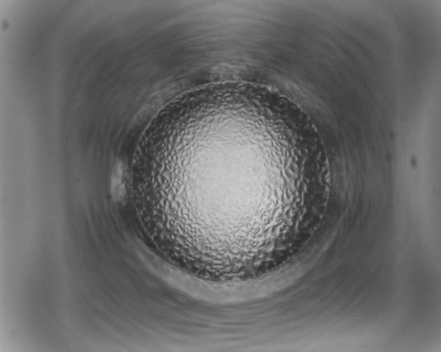 X0000079300038200611171042