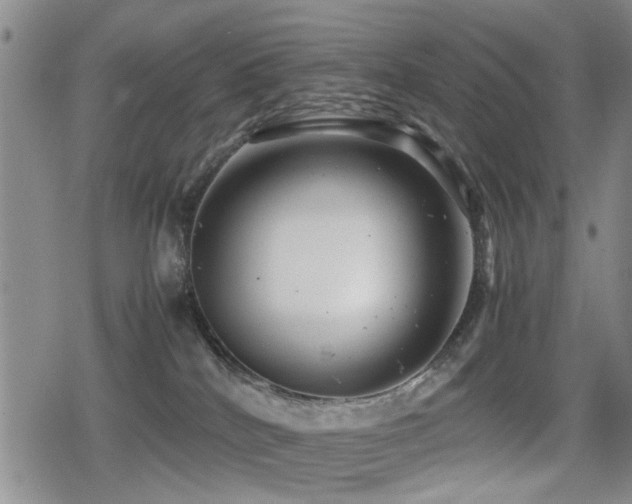 X0000079300040200611171041