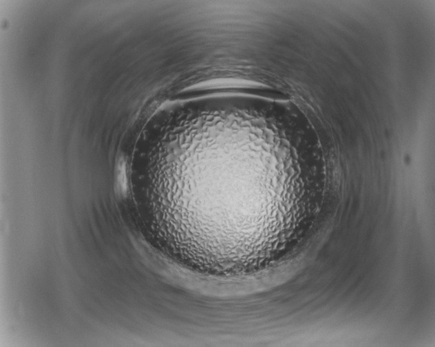 X0000079300042200611171041