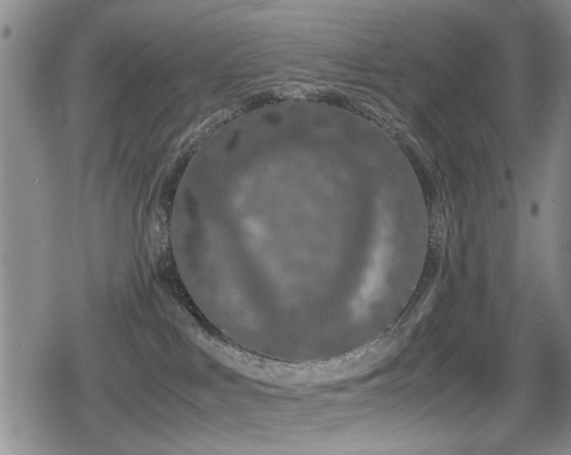 X0000079300043200611171041