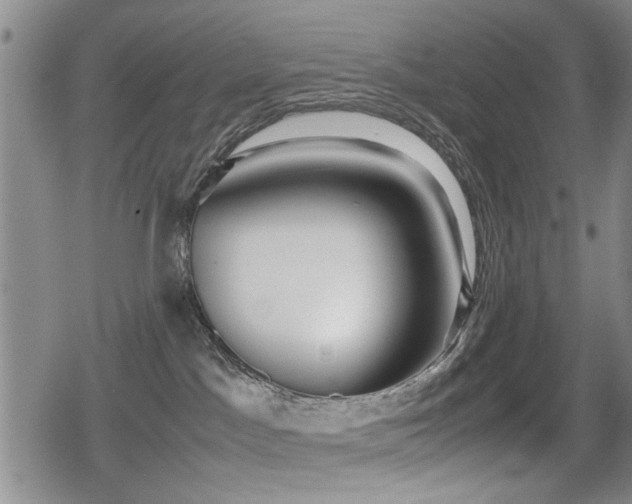 X0000079300045200611171041