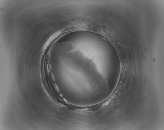 X0000079300054200611171041