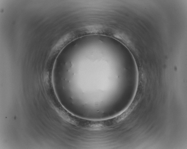 X0000079300066200611171041