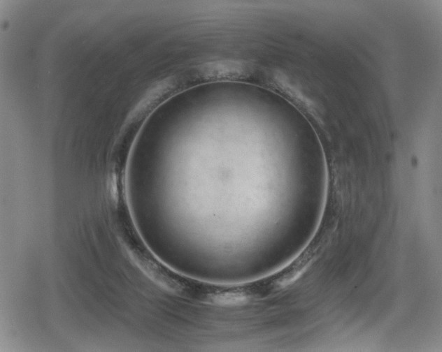 X0000079300067200611171041