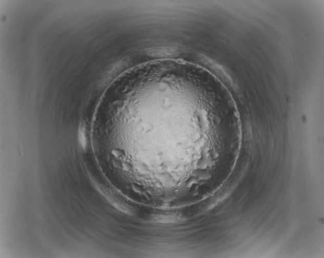 X0000079300069200611171041