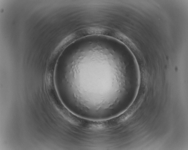 X0000079300071200611171041