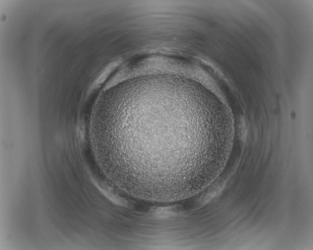 X0000079300072200611171041