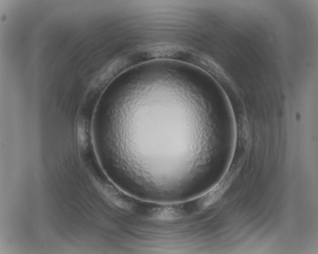 X0000079300074200611171041