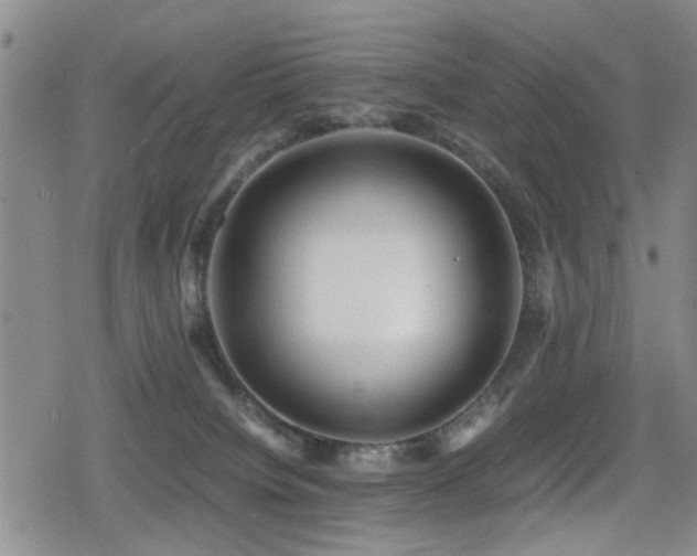 X0000079300084200611171041