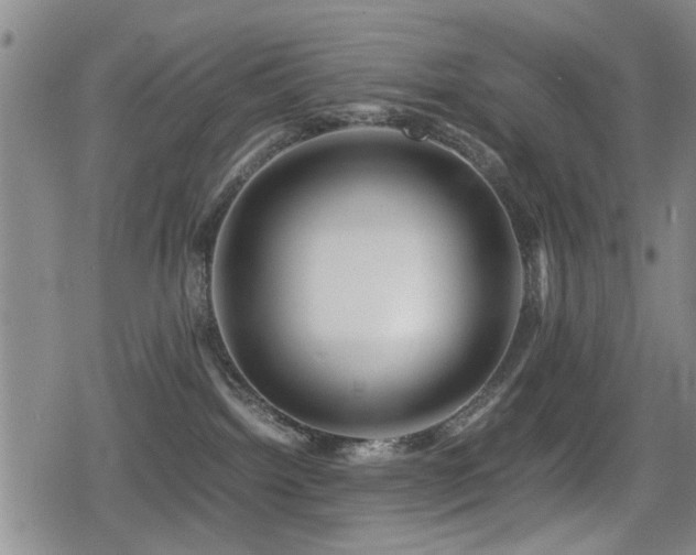 X0000079300092200611171041
