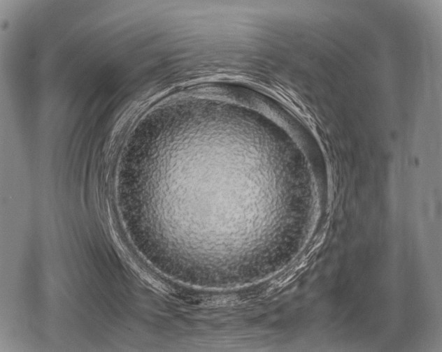 X0000079300097200611171041
