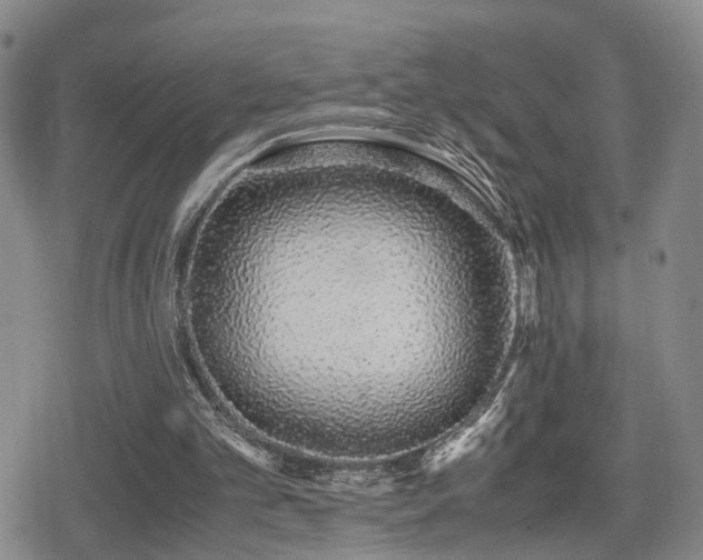 X0000079300101200611171040