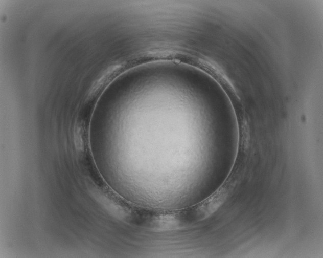 X0000079300114200611171040