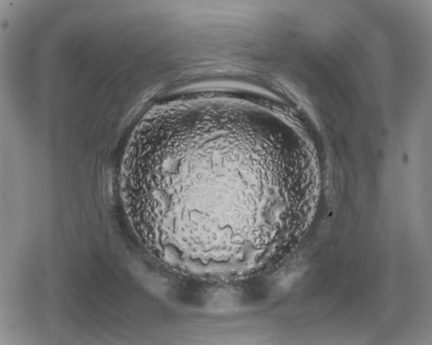 X0000079300115200611171040