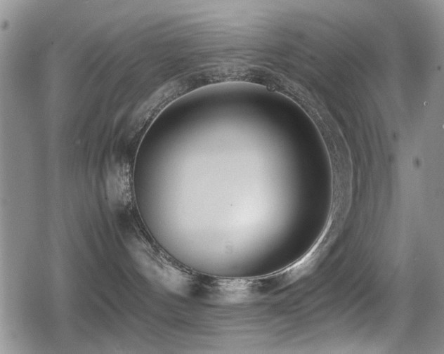 X0000079300144200611171040