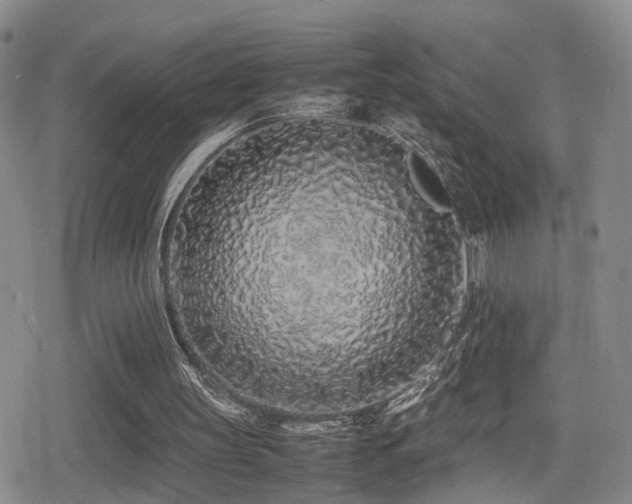 X0000079300147200611171039