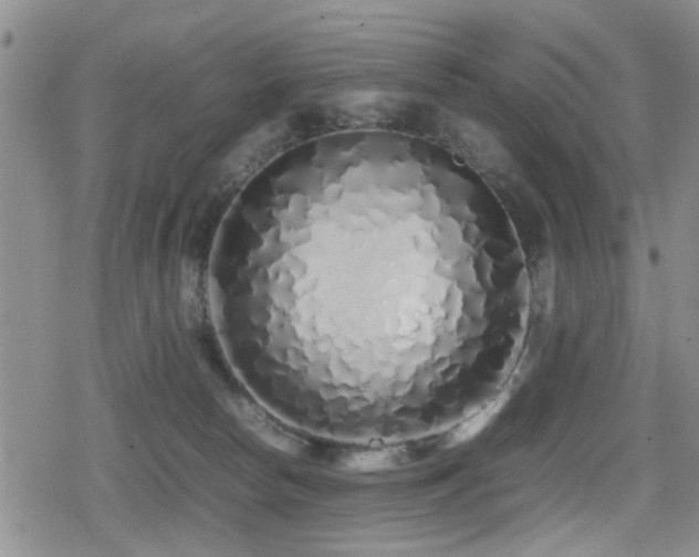 X0000079300178200611171040